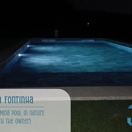 Casa Da Fontinha - Swimming Pool & Free Parking Ferienhaus
